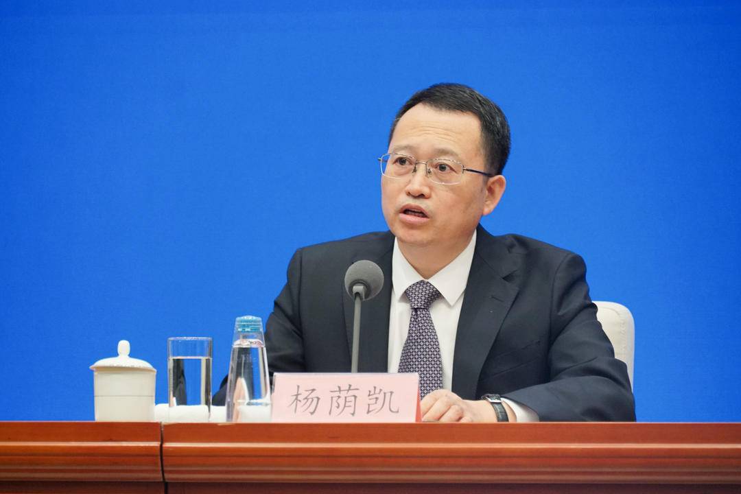 国家发展改革委副秘书长杨荫凯 &nbsp;&nbsp;澎湃新闻记者 周頔 摄