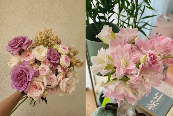 　　图源：“植迷不误”的用户评论区