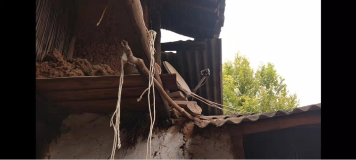 图注:公益真探王贝贝跟随公益机构实地走访项目地