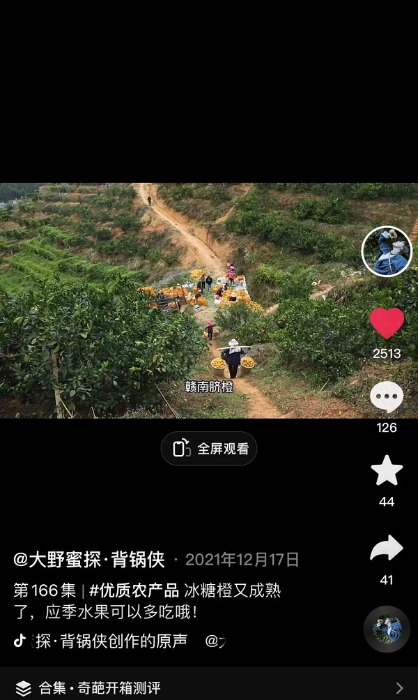 　　锅锅镜头下的农民们