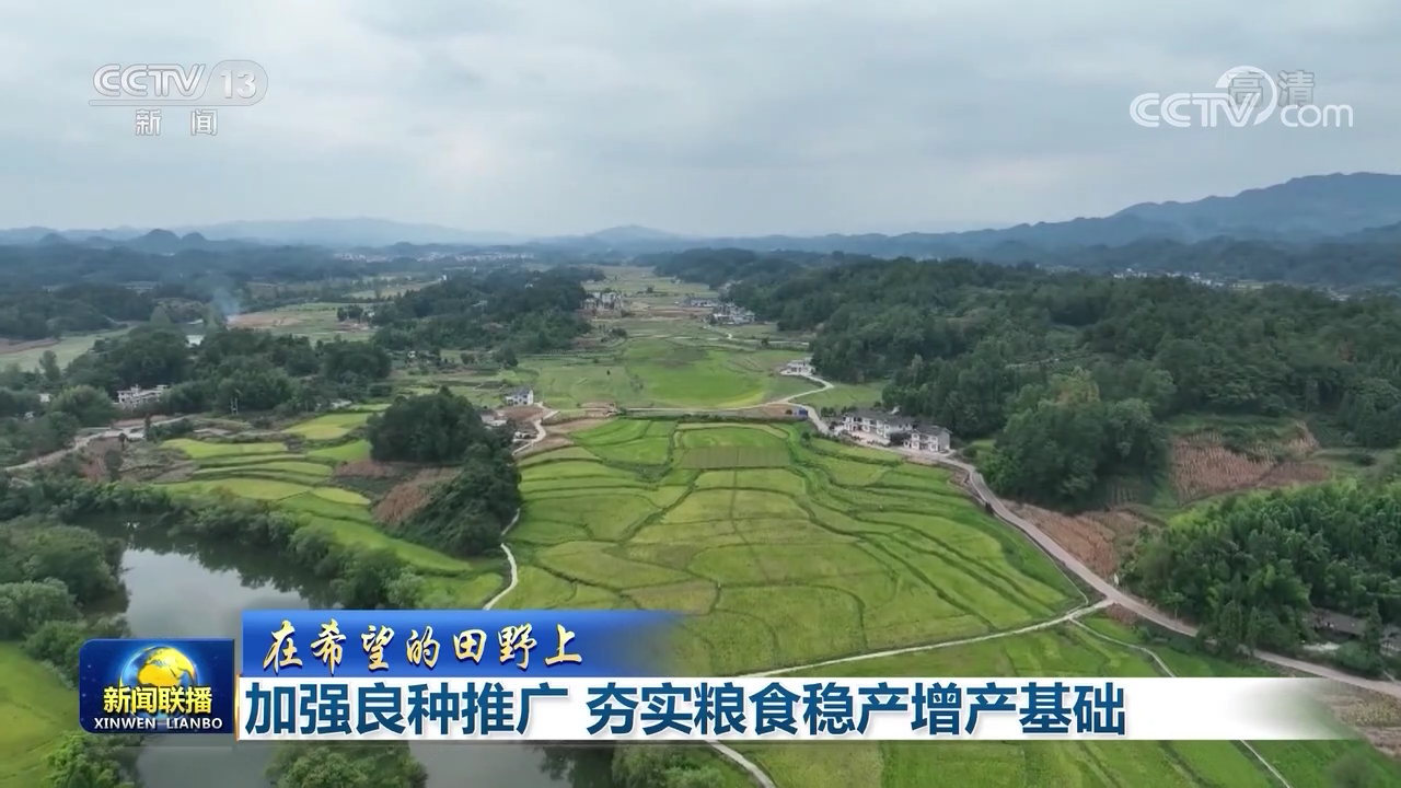 “水稻”【在希望的田野上】加强良种推广 夯实粮食稳产增产基础