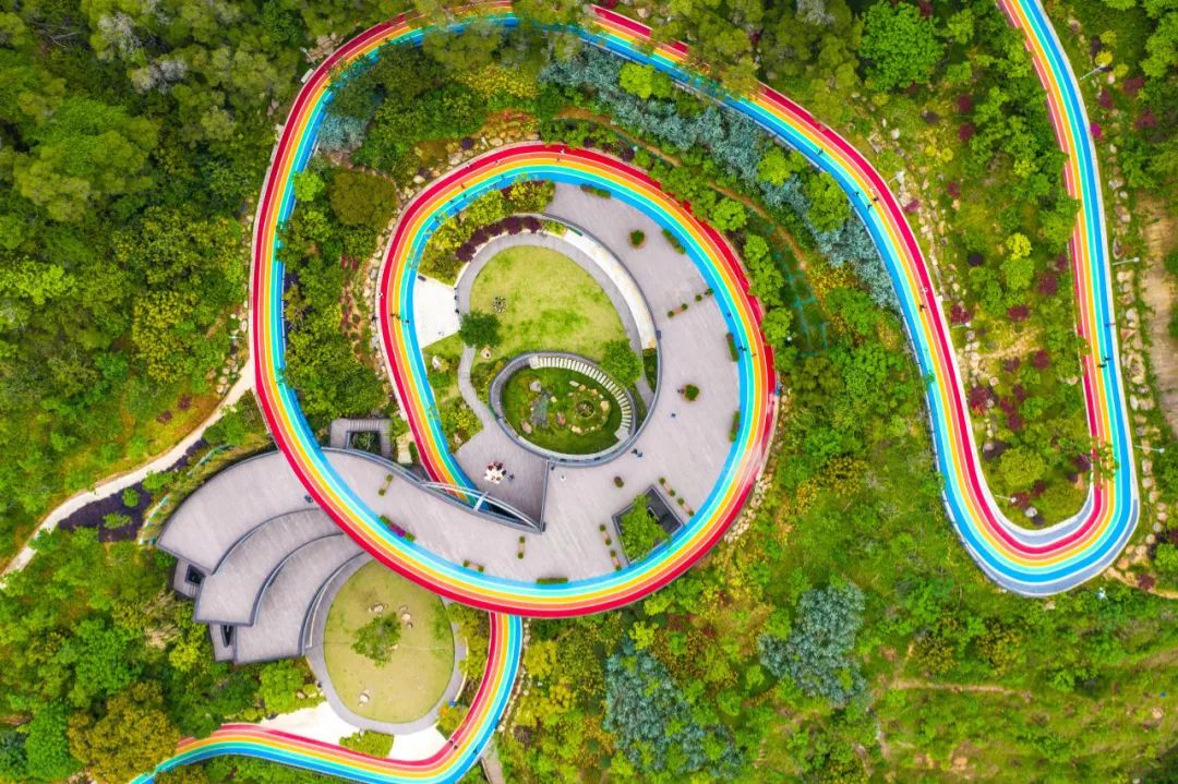 福山郊野公园.林双伟 摄