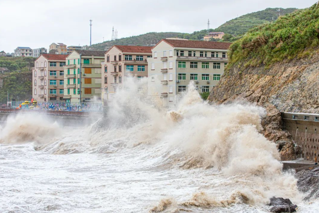 徐伟杰摄(中经视觉)