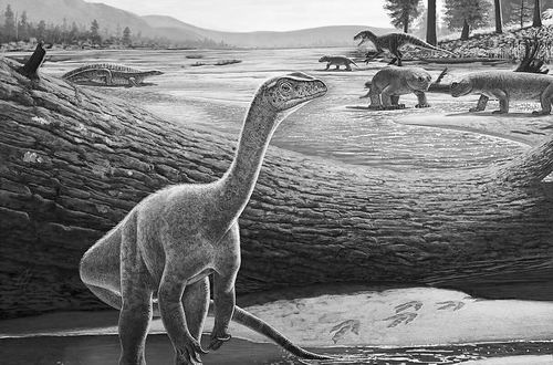 “恐龙”非洲新发现照亮恐龙“黎明”