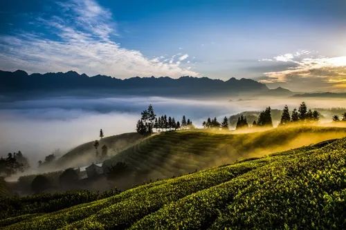 湖南日报推介┃常德市石门县从体制机制上探索有效衔接新路径|乡村