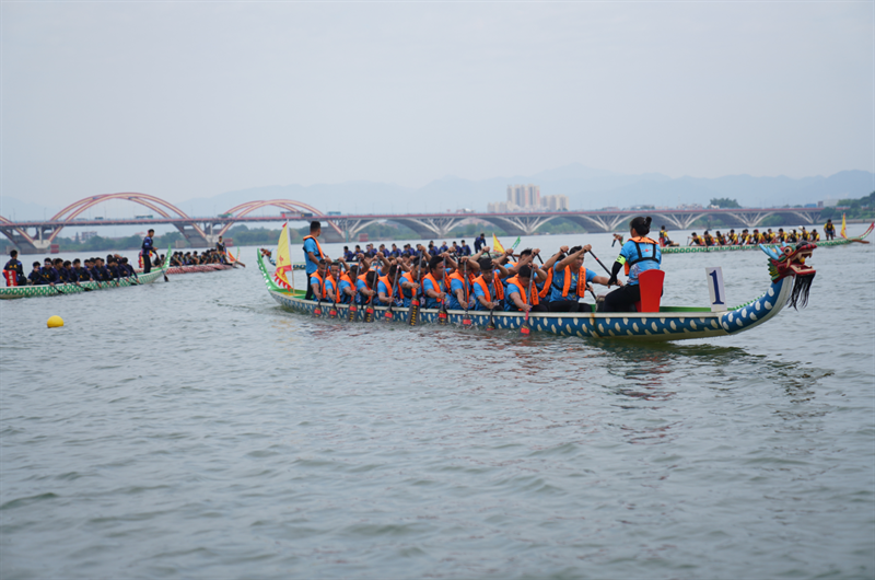 龙舟比赛现场.通讯员供图