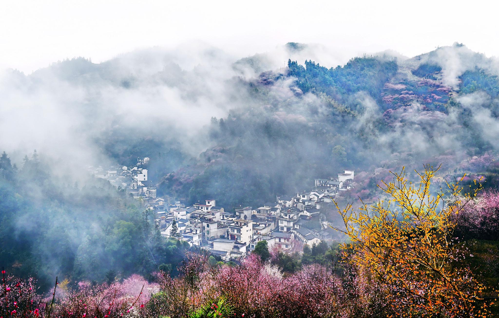 歙县卖花渔村:"美丽经济"振兴乡村路_新浪财经_新浪网