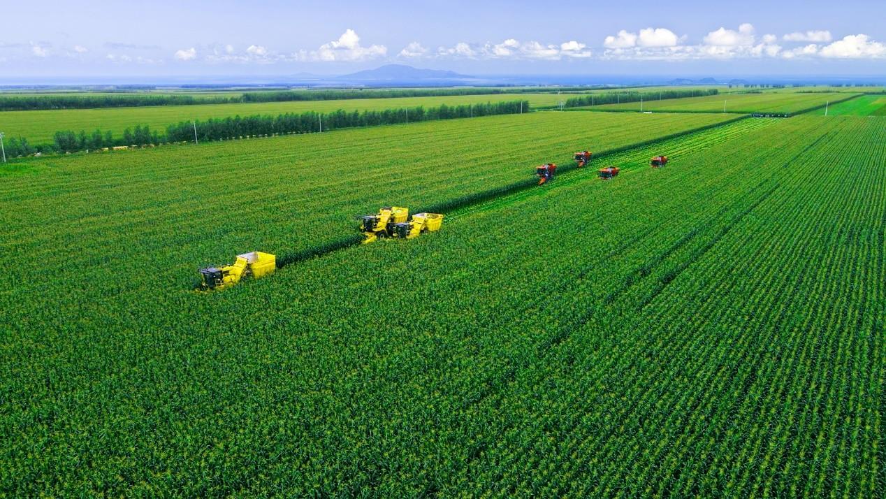 北纬47成功举办中国首届高端鲜食玉米产业峰会