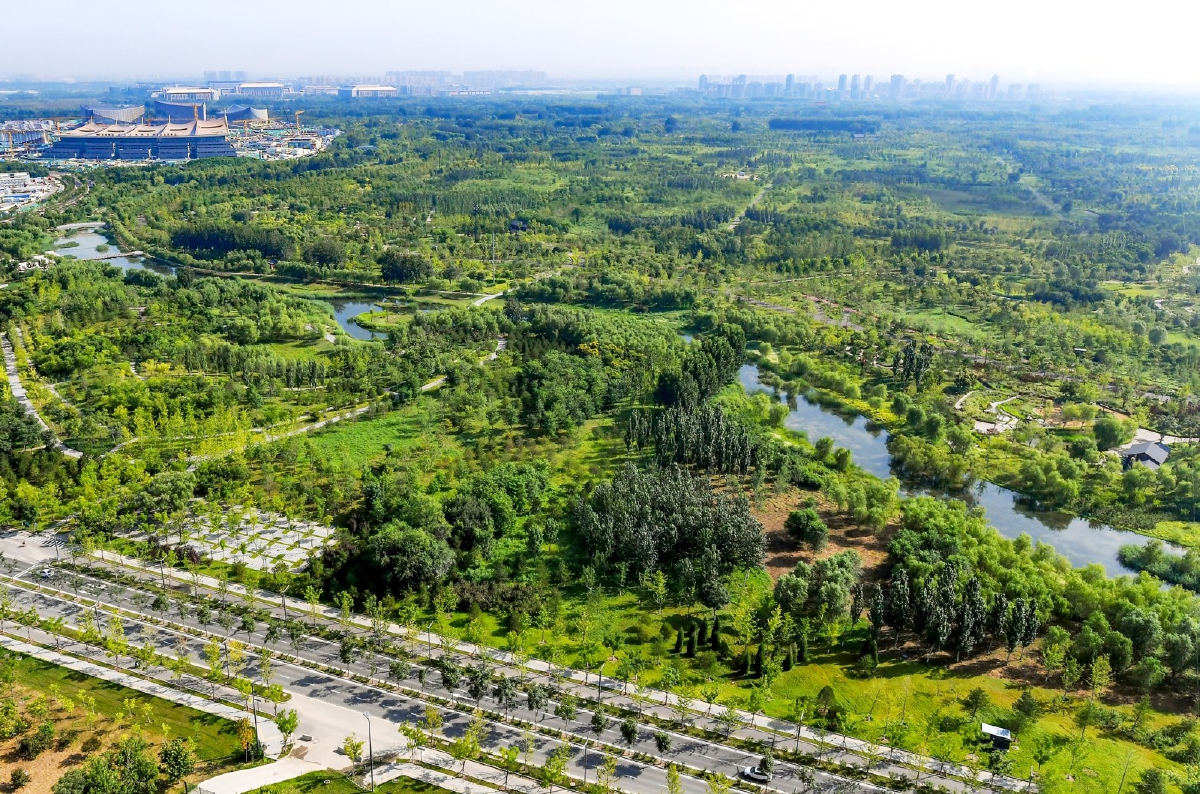 城市绿心森林公园被誉为城市副中心的"绿色心脏",所有的改造都向着"