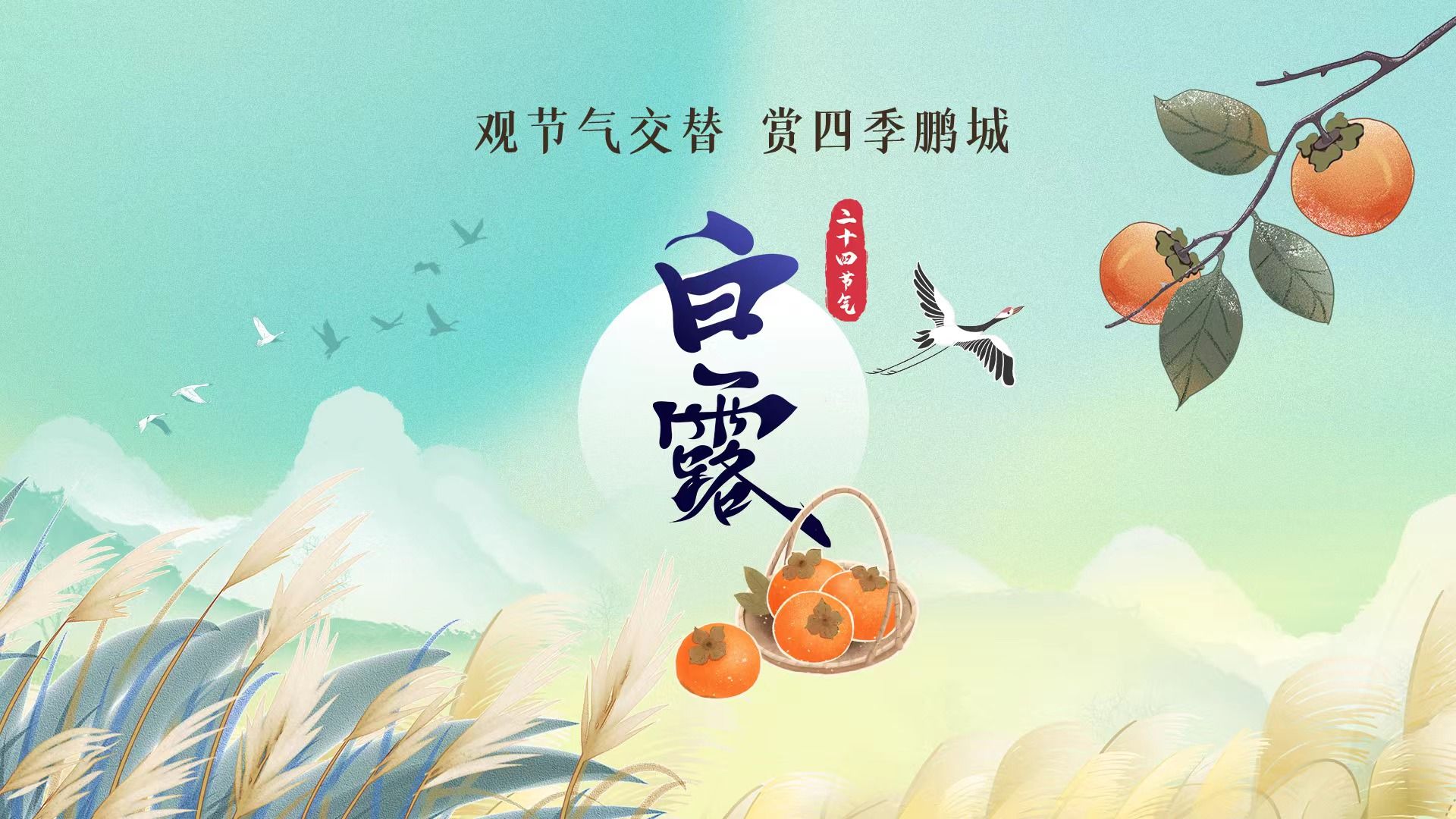 二十四节气|秋风生白鹭,露至秋意浓——白露_手机新浪网