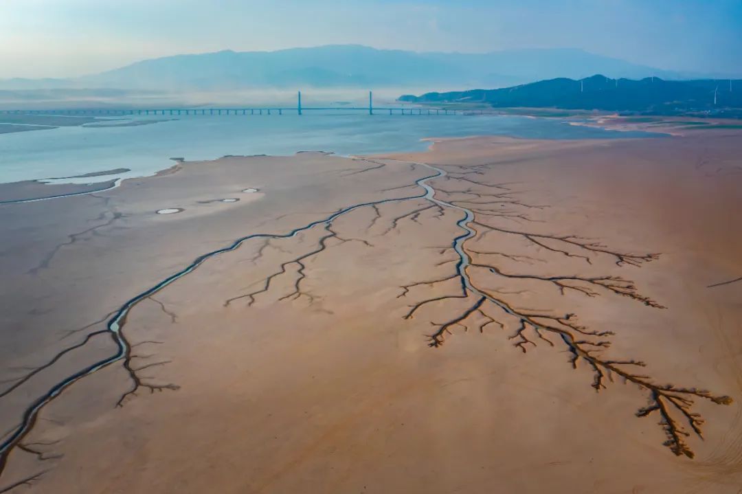 9月4日，都昌二桥一带，湖床上残存的水脉呈树形。摄影：刘远庆