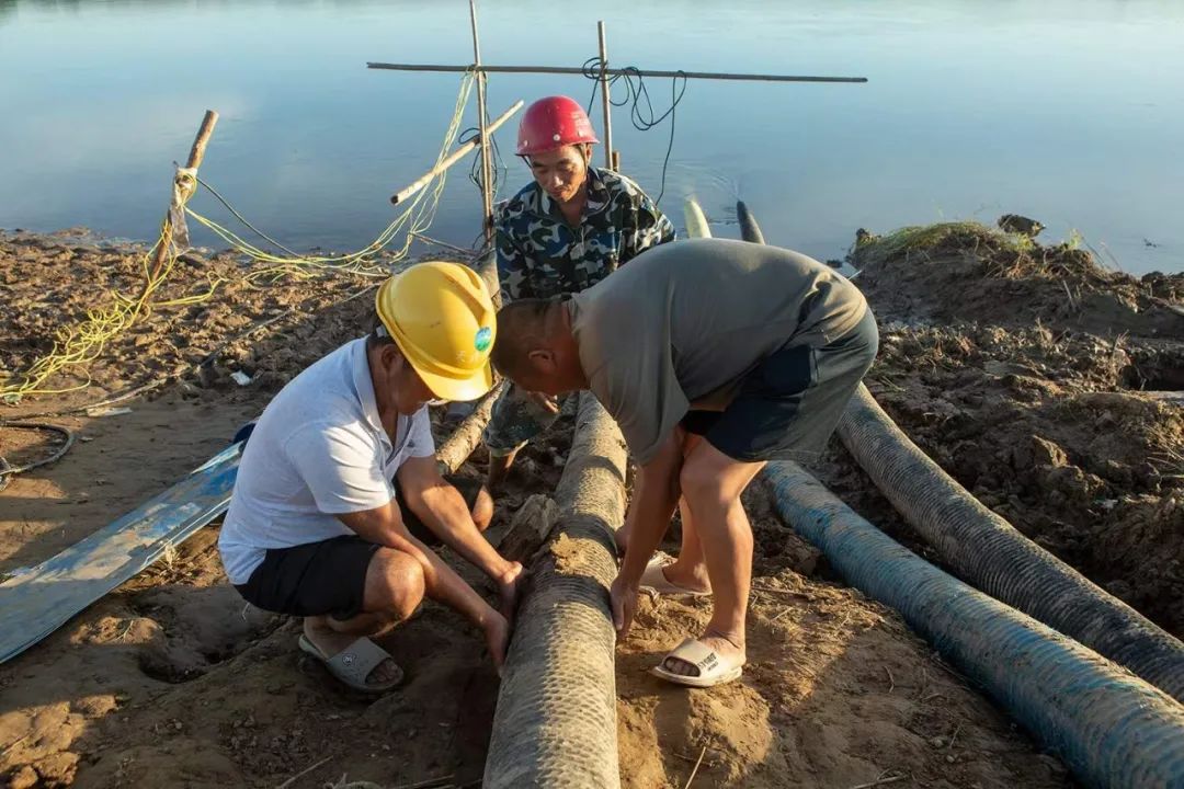 8月21日，鄱阳湖西岸永修县，工作人员正在架设引水管道。摄影：张小林
