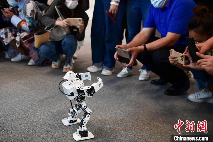 图为声智科技内的机器人互动。中新社记者 田雨昊 摄
