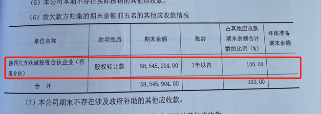 截图来源：铜川龙鑫2021年度财务报表