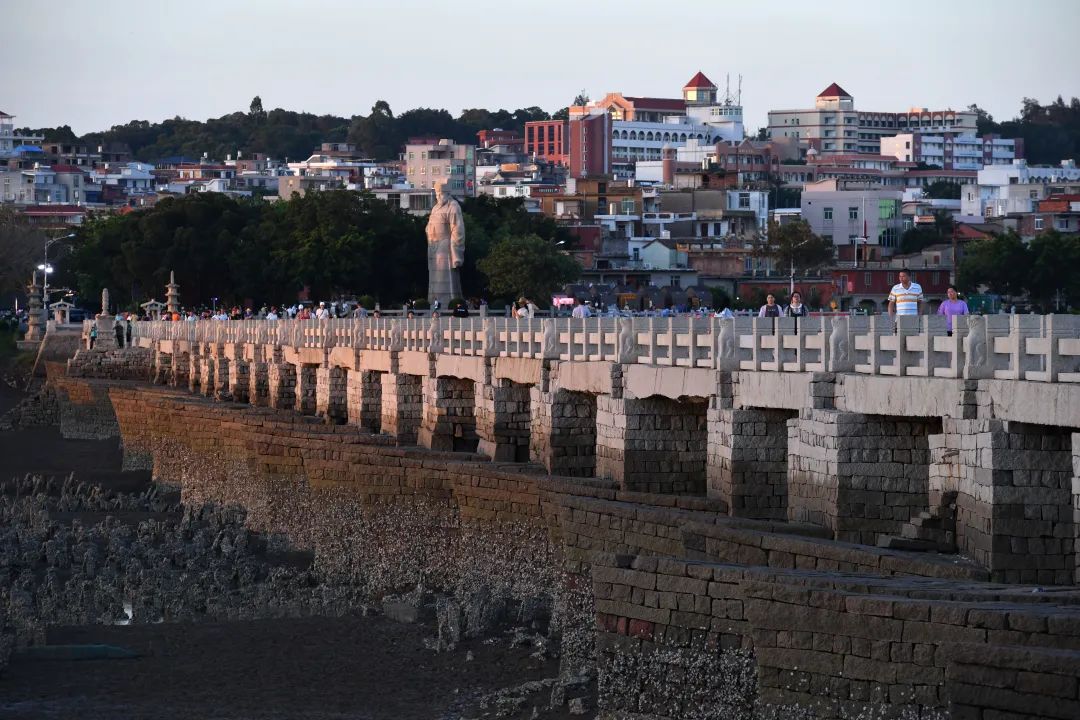 洛阳桥的筏型桥基上密密麻麻生长着牡蛎 福建日报记者 林熙/摄