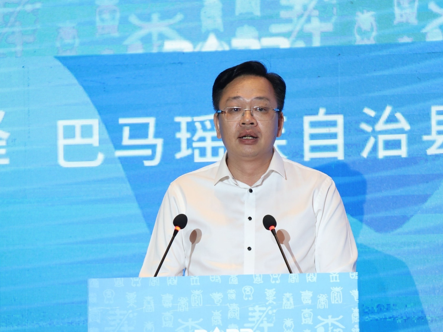 图为巴马瑶族自治县党委书记黄炳峰在论坛上致辞.