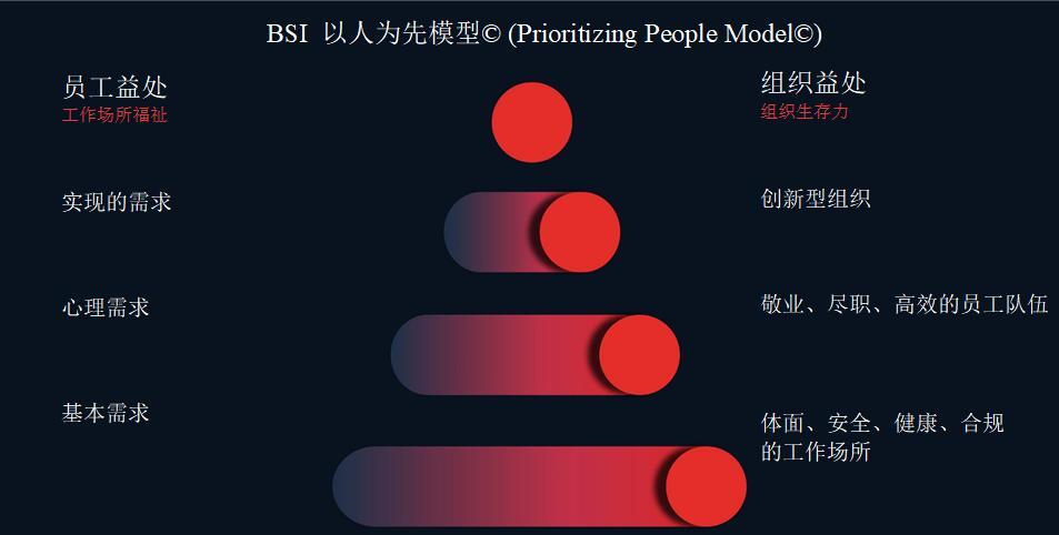 　　BSI“以人为先”最佳实践模型