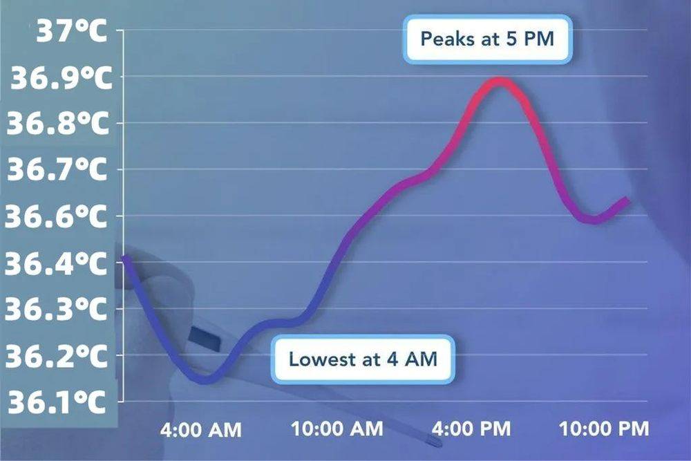24小时体温变化曲线图图片