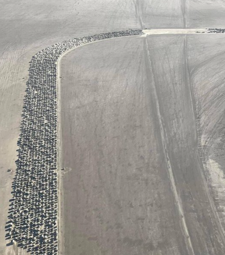 来源: Burning Man Traffic