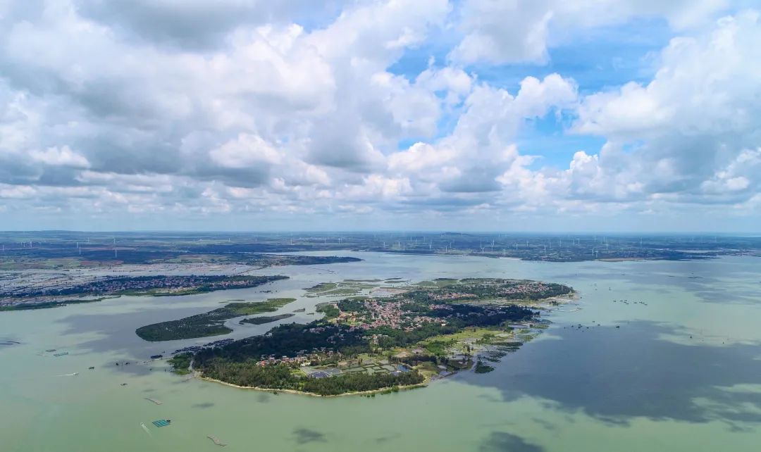 徐闻冬松岛 彭镇强 摄