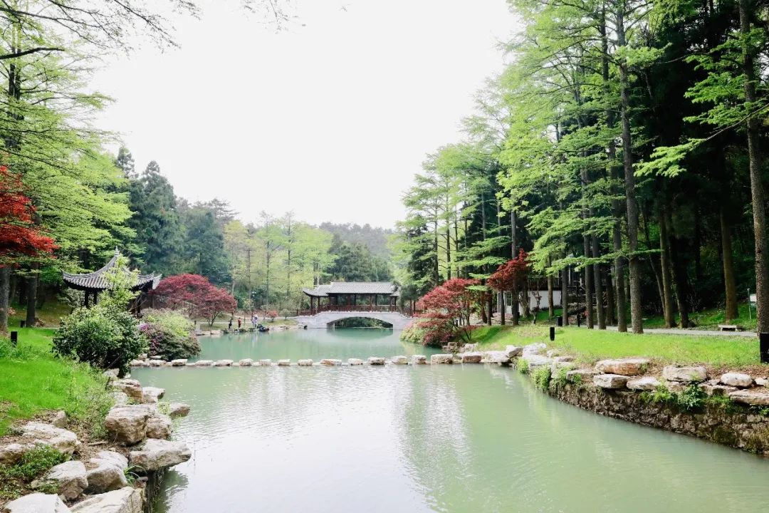 冰球突破安阳太行大峡谷沿途导游词（精选19篇）