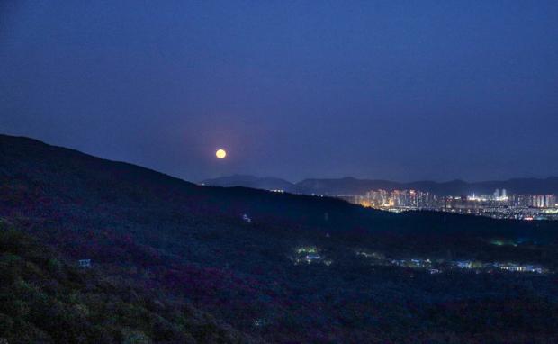 月映紫金山.图片来源:陈向阳 摄影
