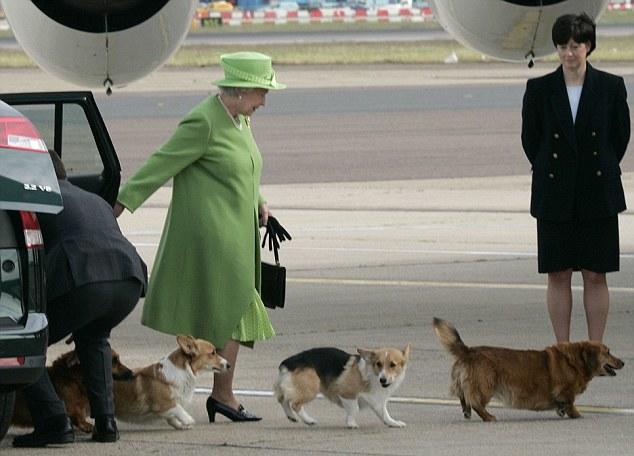 ↑英国女王带着柯基犬出行 资料图