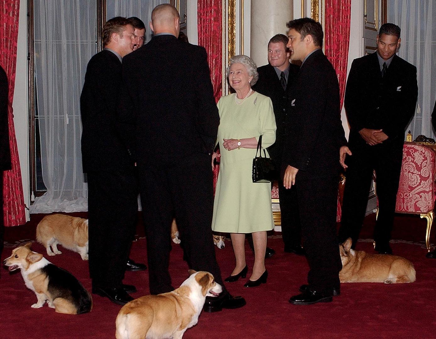 ↑柯基犬一直是英国女王脚下的常客