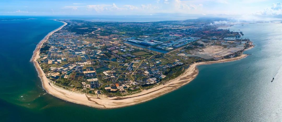 东海岛 彭镇强 摄