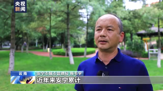 无人机灯光秀、文创市集……中秋假期多地推出特色文化活动