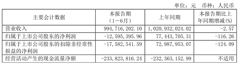 　　图为：王力安防2022年半年报部分财务数据