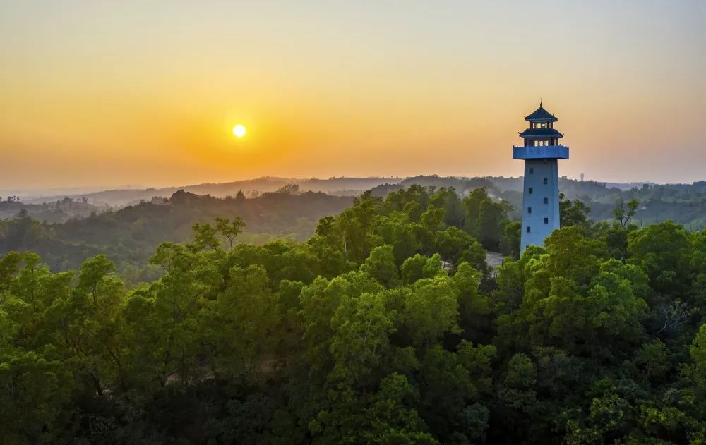 三岭山森林公园.郭龙碧 摄