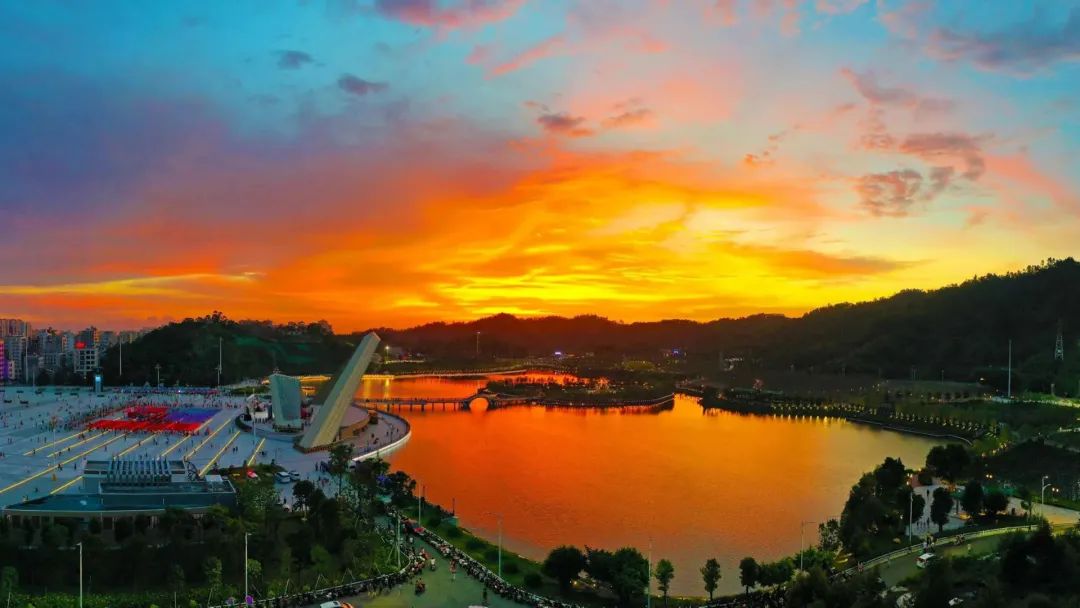 廉江樱花公园.郭龙碧 摄