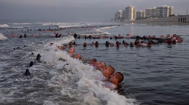  �����뺣��ͻ����ѡ�ογ̵�ѧԱ��ѵ����