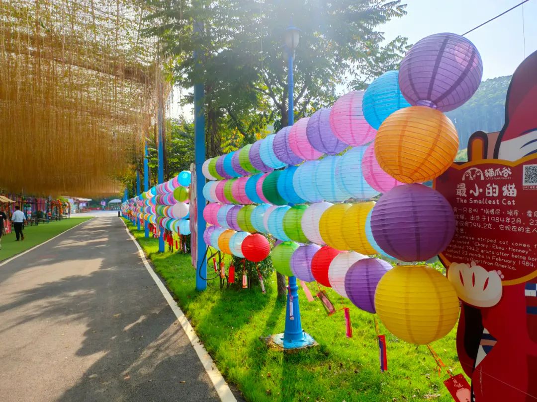 高要区猫爪谷景区中秋装饰.图源 高要发布