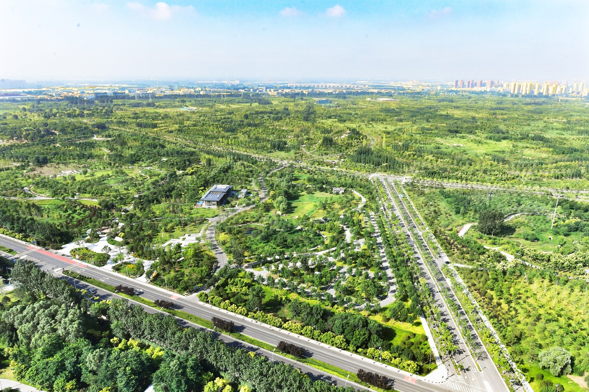 城市绿心森林公园范围内可再生能源利用比例达41.2%,绿地率达80%以上.