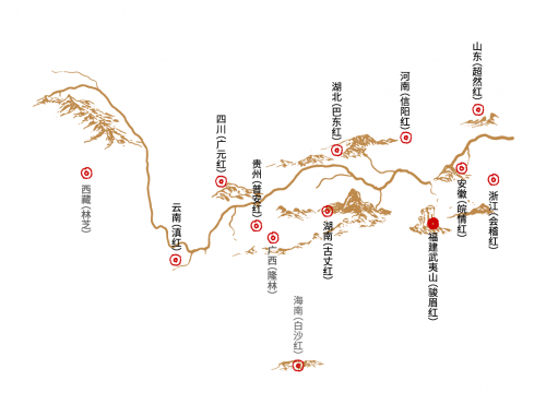 　　骏眉中国红茶产业体系
