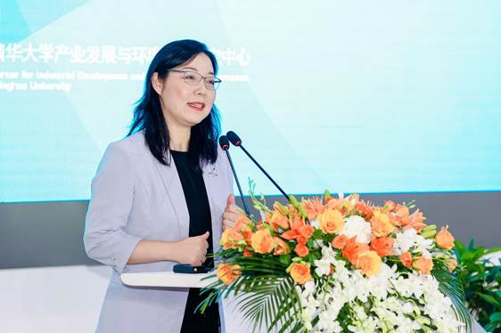 清华大学产业发展与环境治理研究中心主任陈玲发表主题演讲