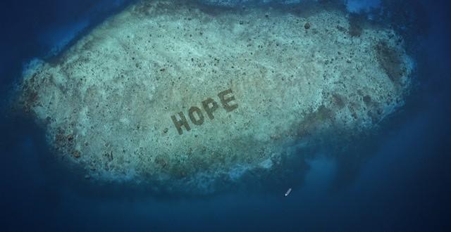 　　玛氏宠物旗下希宝®在2021年开启全球最大的珊瑚礁恢复计划