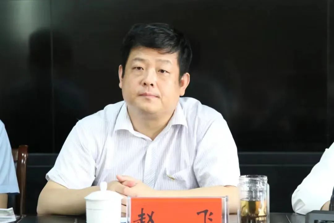 赵飞,拟出任「郑州银行」执行董事,行长|赵飞_新浪财经_新浪网