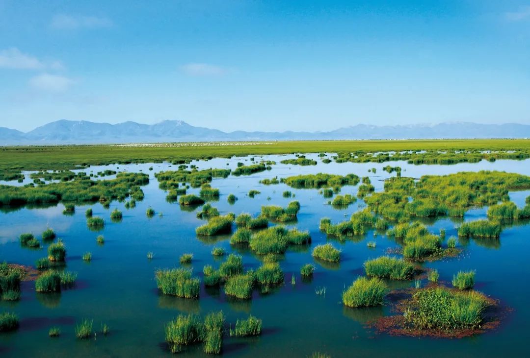 详细阅读:青海湖面积_青海湖面积达4635平方千米 青海湖面积_青海湖面积达4635平方千米