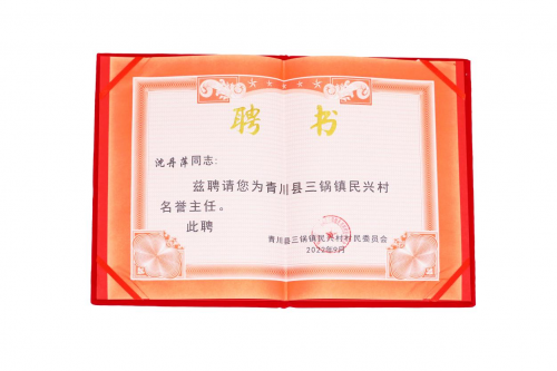 格家网络携手青川县民兴村,创始人沈丹萍受聘为名誉村主任