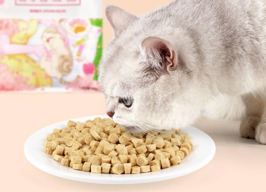 如焚,他抱着咪咪飞奔至宠物医院,被医生告知是因食用猫粮导致结肠炎