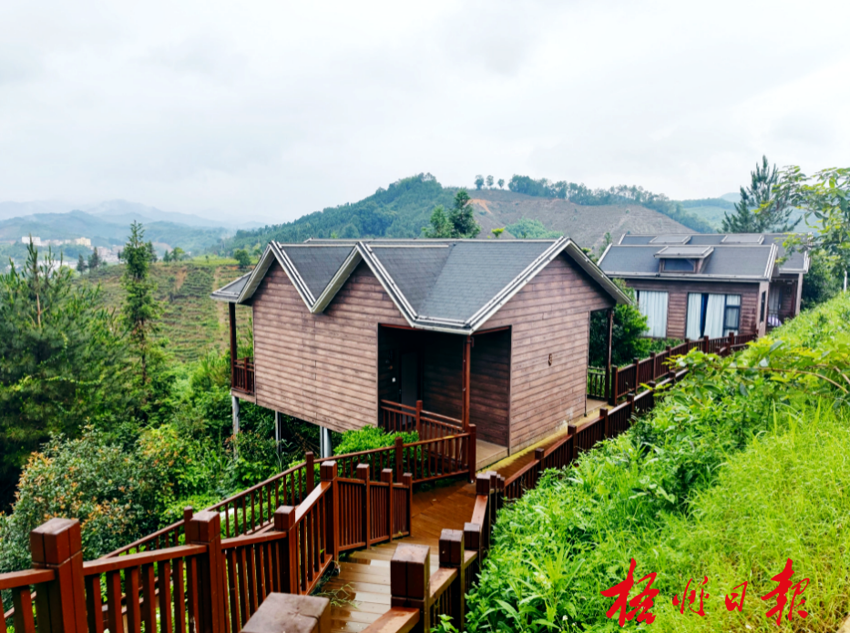 六堡镇大中村六堡茶庄园住宿环境清雅,推窗可见茶山.冼振宇 摄