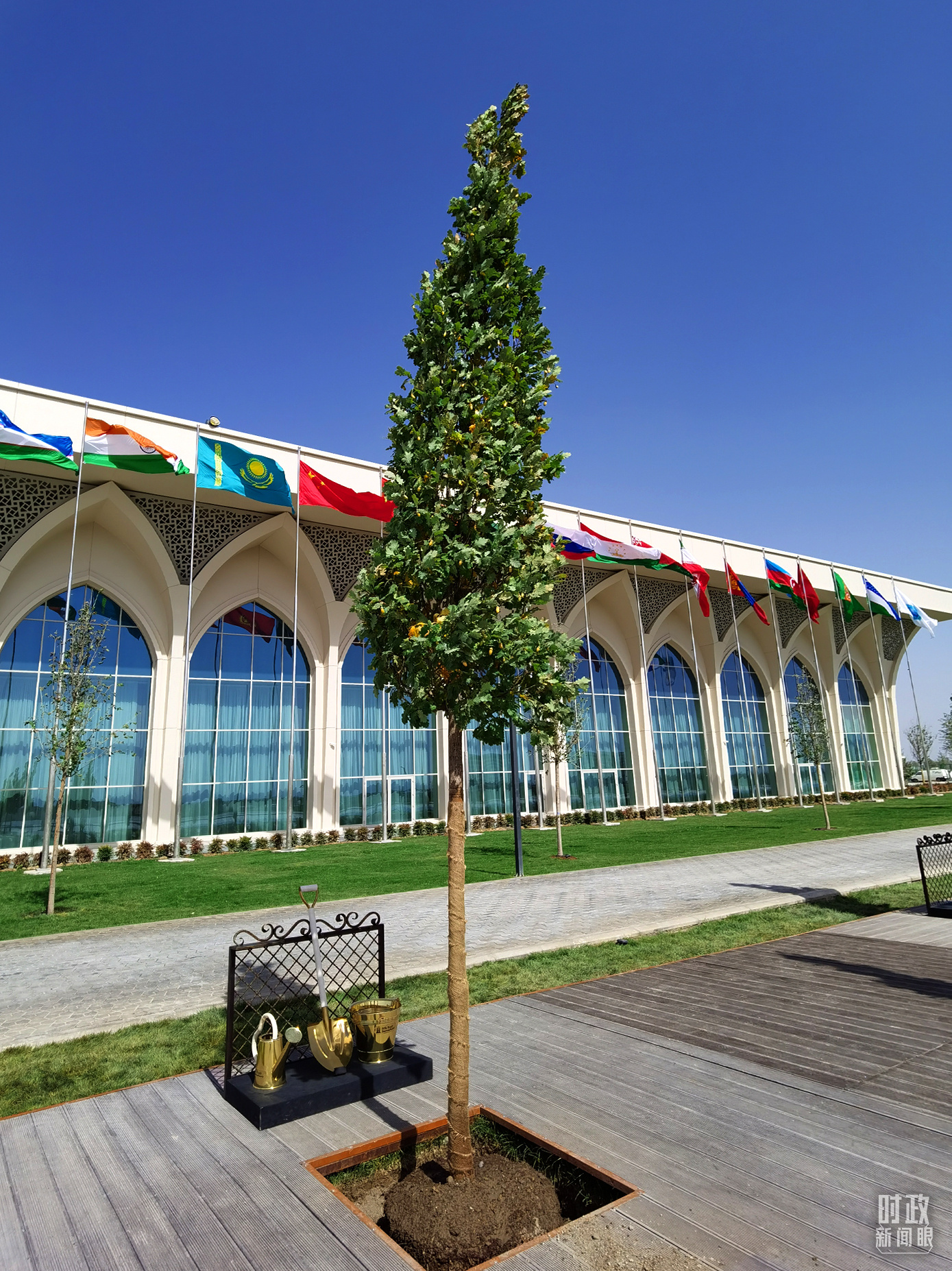 △橡树代表着长久生命力，象征着中乌友谊枝繁叶茂、生生不息。（总台央视记者郭鸿拍摄）