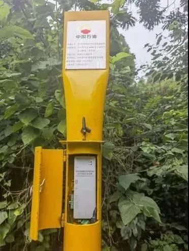 　　南石油试点项目