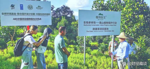 　　植物医生“生物多样性-高山植物保护行动”跳蚤草项目基地