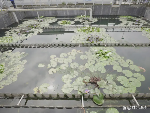 　　宝骏基地新能源试点光伏风能一体化利用储能电站