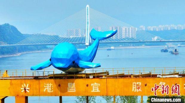 "江豚跃龙门"成为宜昌新地标. 周星亮 摄