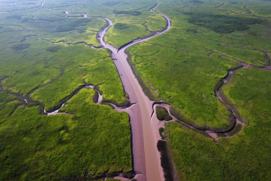 国际重要湿地 | 上海崇明东滩国际重要湿地:河口型潮汐滩涂湿地